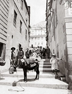Gibraltar Gallery: Donkey in Gibraltar street, c.1890 s