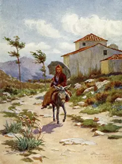 Donkey / Peasant Woman