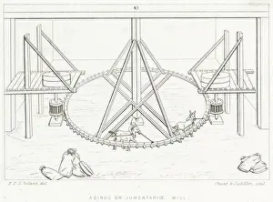 DONKEY-POWERED MILL