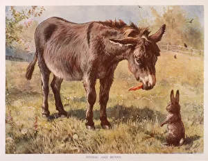 A donkey and a rabbit converse in a field. Date: 1890s