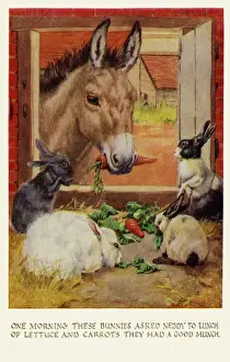 Donkey & rabbits