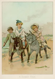 Brother Collection: A Donkey Race