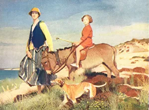 The Donkey Ride