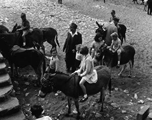 British Seaside Gallery: Donkey Rides / Hunstanton