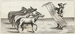 Serenade Prints: Donkey Serenade