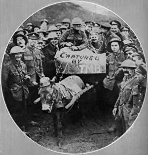 Paraded Prints: Donkey wearing a pickelhaube, 1917