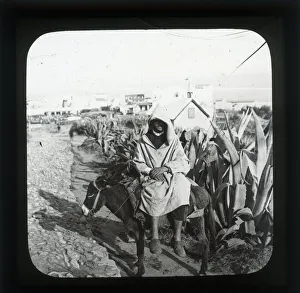 Images Dated 20th May 2019: Donkeyman Tangier