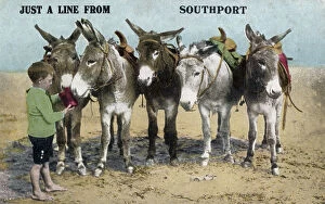 Sandy Collection: Donkeys on the beach at Southport, Cheshire (Merseyside)