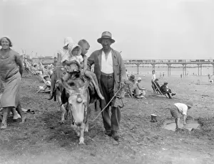 Donkeys at Blackpool