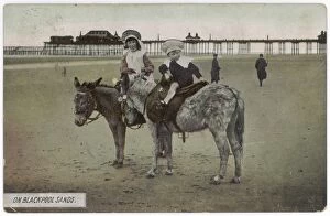 Black Pool Collection: Donkeys at Blackpool