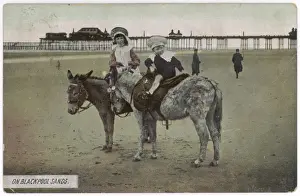 Donkeys at Blackpool