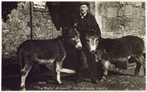 Carisbrook I.O.W