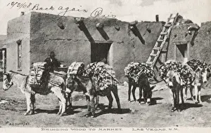 Pueblo Prints: Donkeys carrying wood, Las Vegas, New Mexico, USA