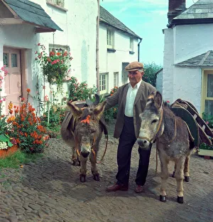 Clovelly Prints: Donkeys, Clovelly