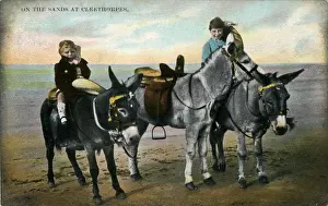 Donkeys on the Sands, Cleethorpes, Lincolnshire