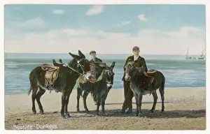 Donkeys Waiting
