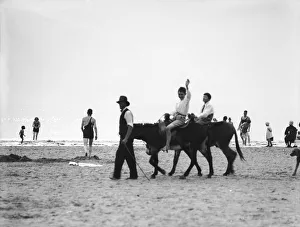 British Seaside Gallery: Donkeys at Weston