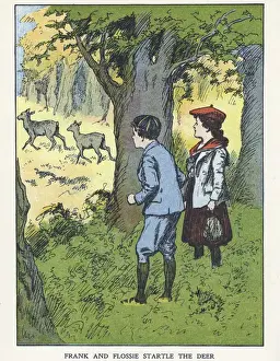 Out of Doors -- children watching deer