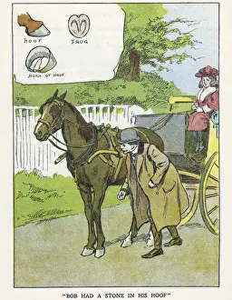 Hoof Prints: Out of Doors -- horse with stone in hoof