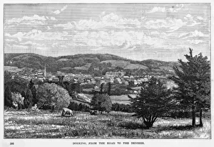 DORKING