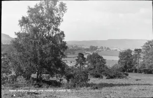 Dorking Prints: Dorking Landscape View