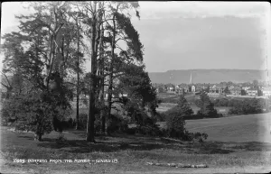 Dorking Prints: Dorking from the Noyer