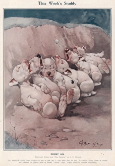 Bonzo Collection: Dormy Six by George Studdy