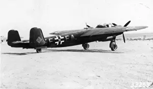 Dornier Do217