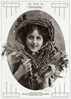 Dorothy Ward