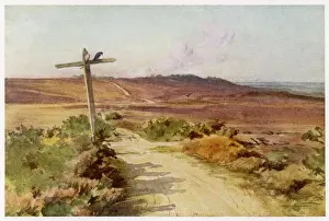 Dorset Prints: Dorset / Bere Heath / Egdon