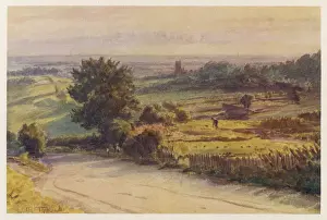 Dorset - Blackmore Vale