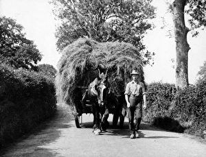 Wain Gallery: Dorset Hay Wain