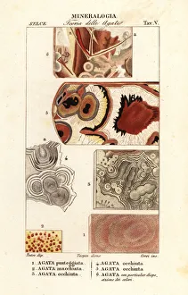 Agate Gallery: Dotted agate, spotted agate, eyed agate, etc