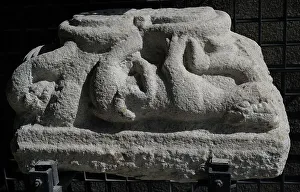 Bracket Prints: Double capital depicting struggle between humans and animals