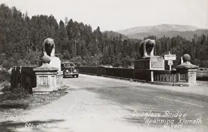 Redwood Prints: Douglas Bridge, Redwood Highway, California, USA