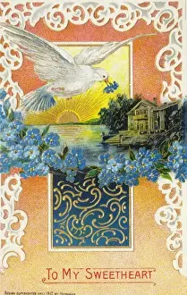 Sun Set Prints: The Dove of Love Valentines Postcard
