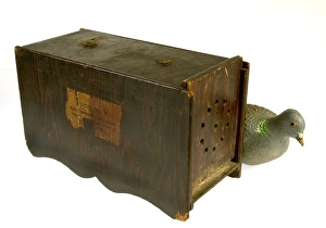 Images Dated 30th March 2009: Dove or pigeon box