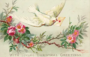 Envelopes Prints: Dove and pink flowers on a Christmas card