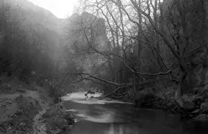 Dovedale Prints: Dovedale - River and scenery with trees