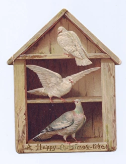 Victorian and Edwardian Christmas Cards Gallery: Two doves and a pigeon on a shaped Christmas card