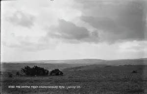 Downs Prints: The Downs from Chanctonbury Ring