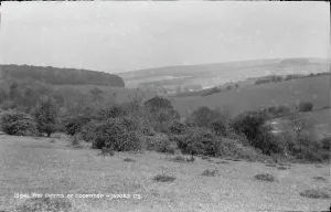 Overcast Prints: The Downs at Goodwood