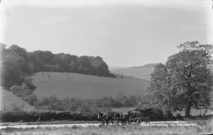 Chichester Prints: The Downs, Near Chichester
