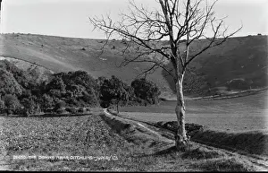 Downs Prints: The Downs Near Ditchling