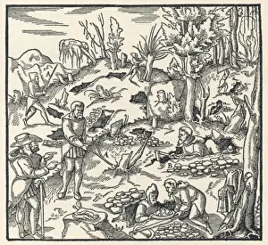 Dowsing / Wunschelrute
