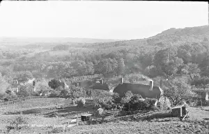 Doyns at Hemley