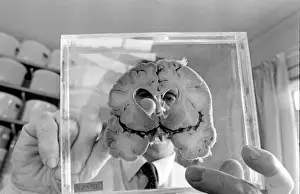 Dr Jan Corsellis
