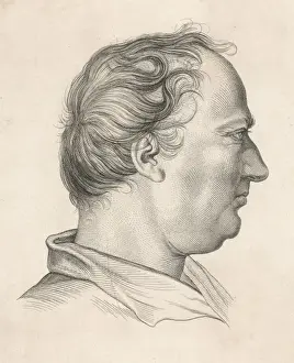 Dr Johnson / Lamborn