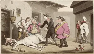 Dr Syntax, Death of Punch (his horse)