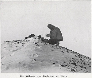 Dr. Wilson at work Dr. Wilson at work